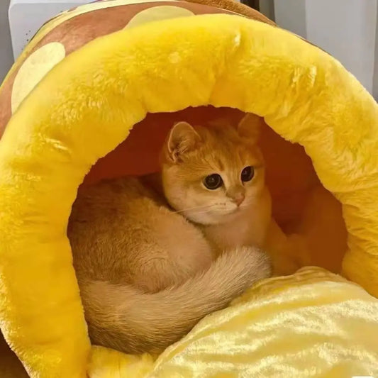 Semi Closed Warm Cute Cat Nest Dog Nest Winnie The Pooh Plush Honey Pot Pet Nest Exit Cat Nest